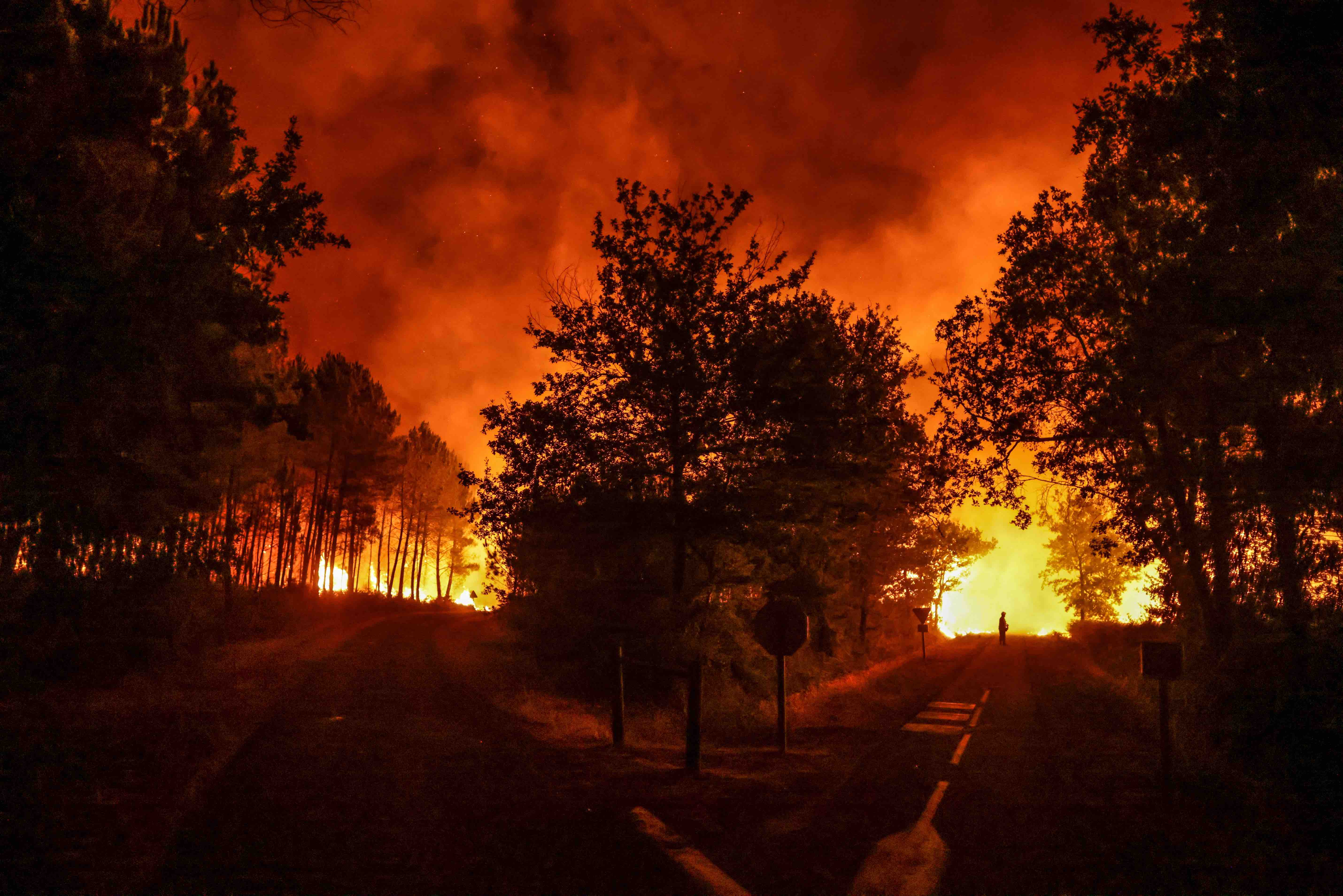 Au coeur des flammes près de Belin-Béliet (sud-ouest de la France), le 11 août 2022 - Thibaud Moritz / AFP
